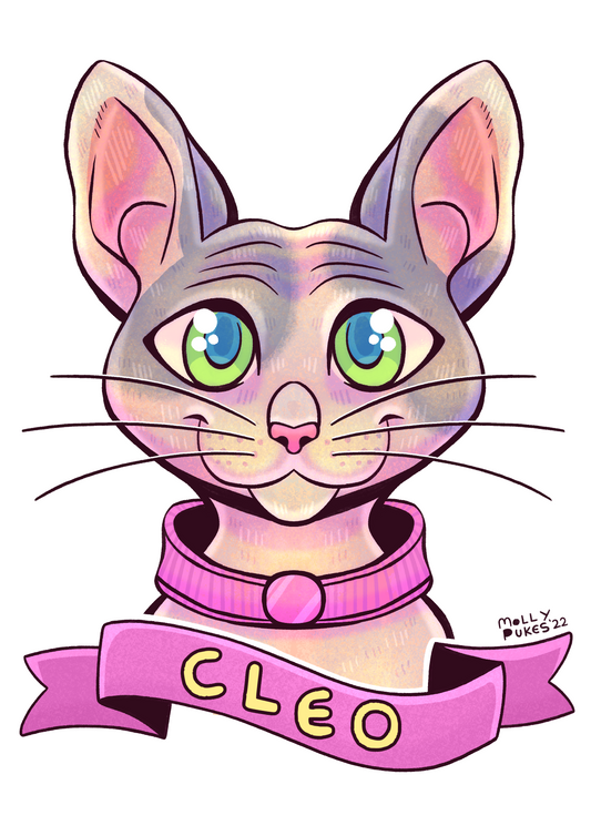 Pre-order FEB 2025 Custom Pet Portraits by MOLLYPUKES