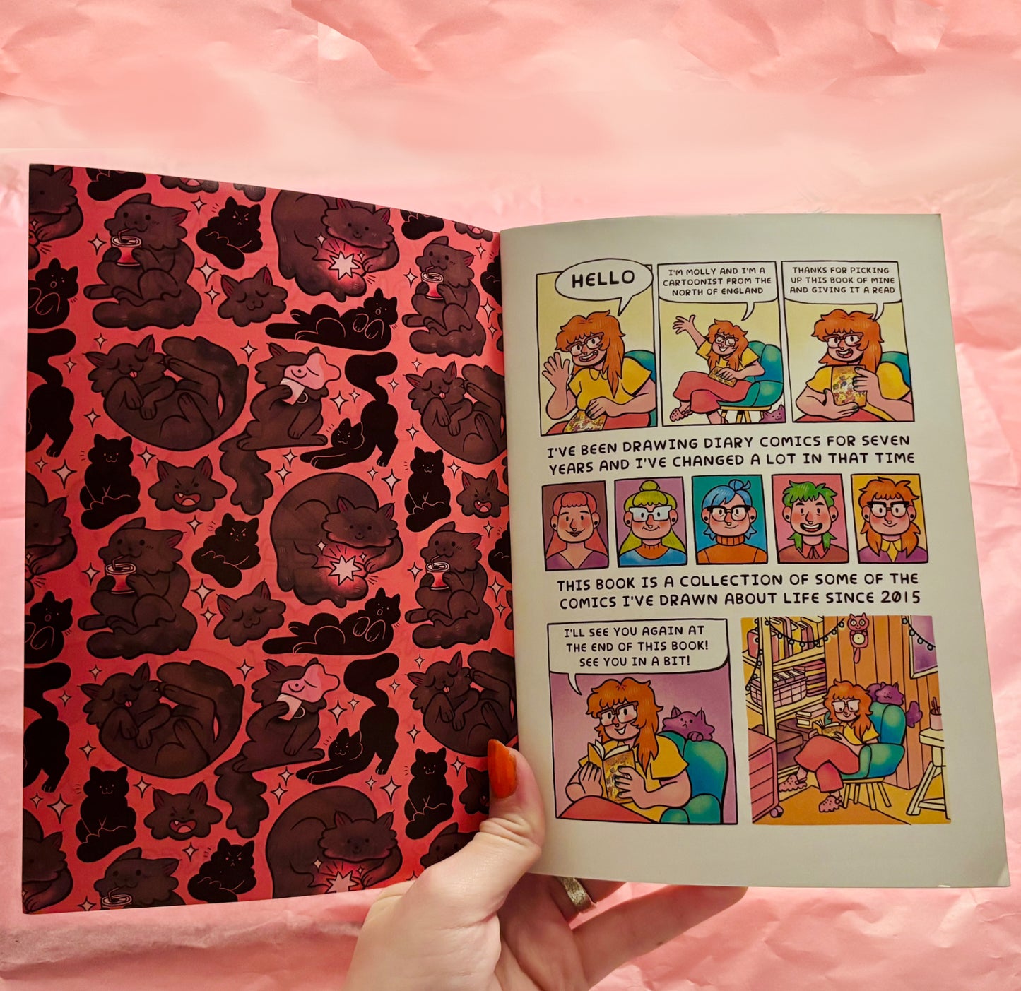 “Diary Comic Collection” Comic Book